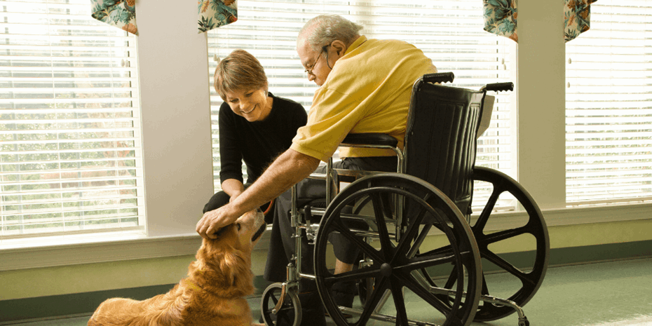 Man in wheelchair wearing yellow shirt patting dog