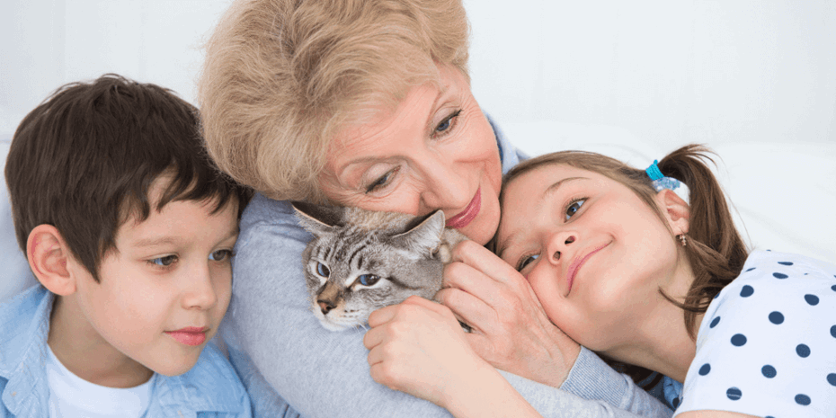 Elderly lady with grandchildren petting a kitten