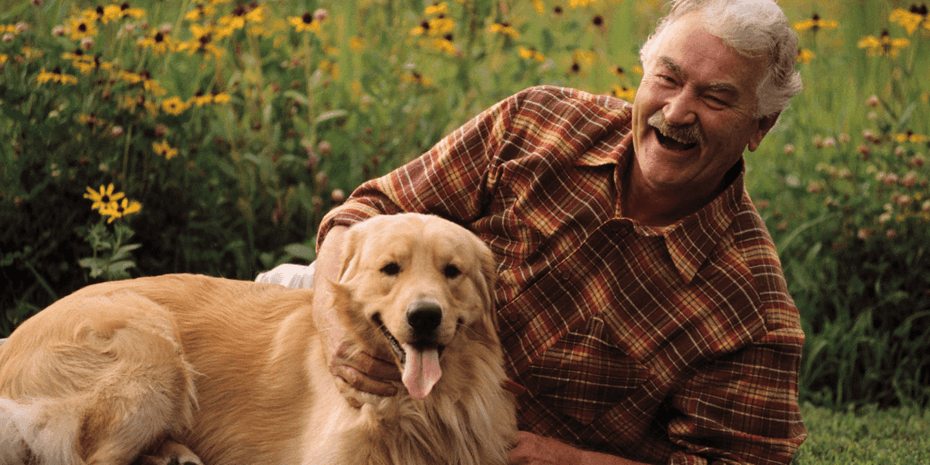 Elderly man laughing in a field with yellow flowers laying next to his Labrador dog