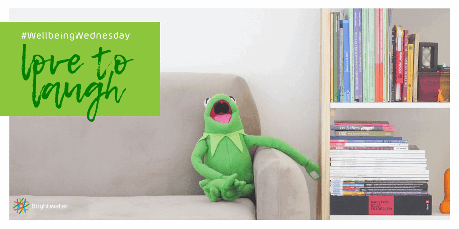 Love to laugh quote with Kermit the Frog plush toy on couch next to book shelf