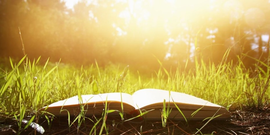 Open book laying in grass with sun rays