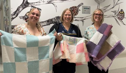 Redcliffe Knitting Story