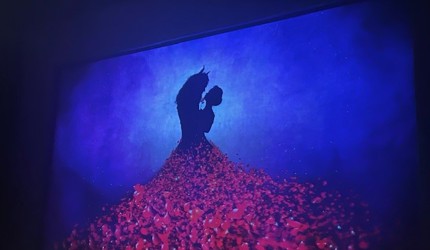 Beauty and The Beast at Crown Theatre with Life's Possibilities