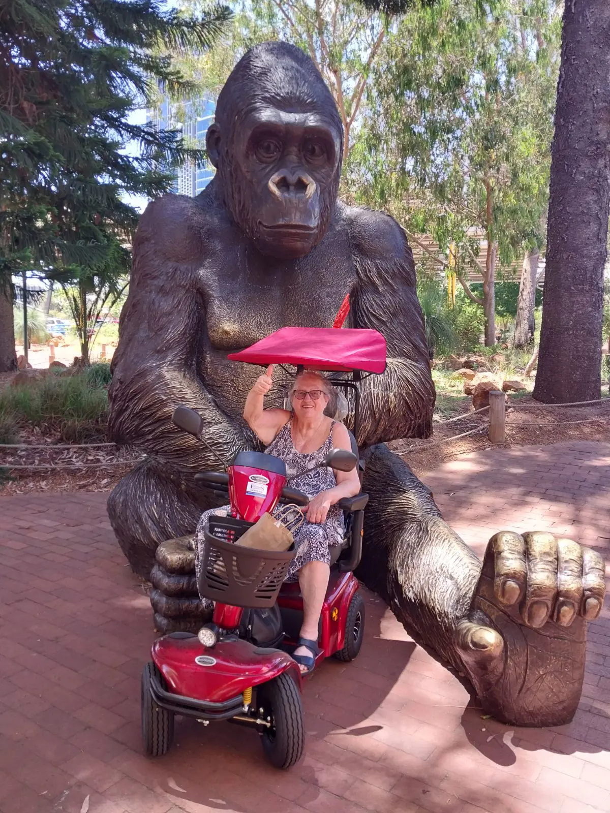 Home care client Susan visits Perth Zoo thanks to Life's Possibilities_in front of gorilla statue with thumbs up