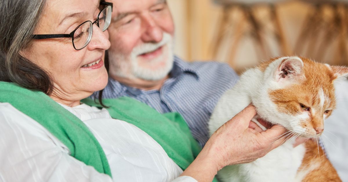 Seniors staying at home with their pets with Support at Home
