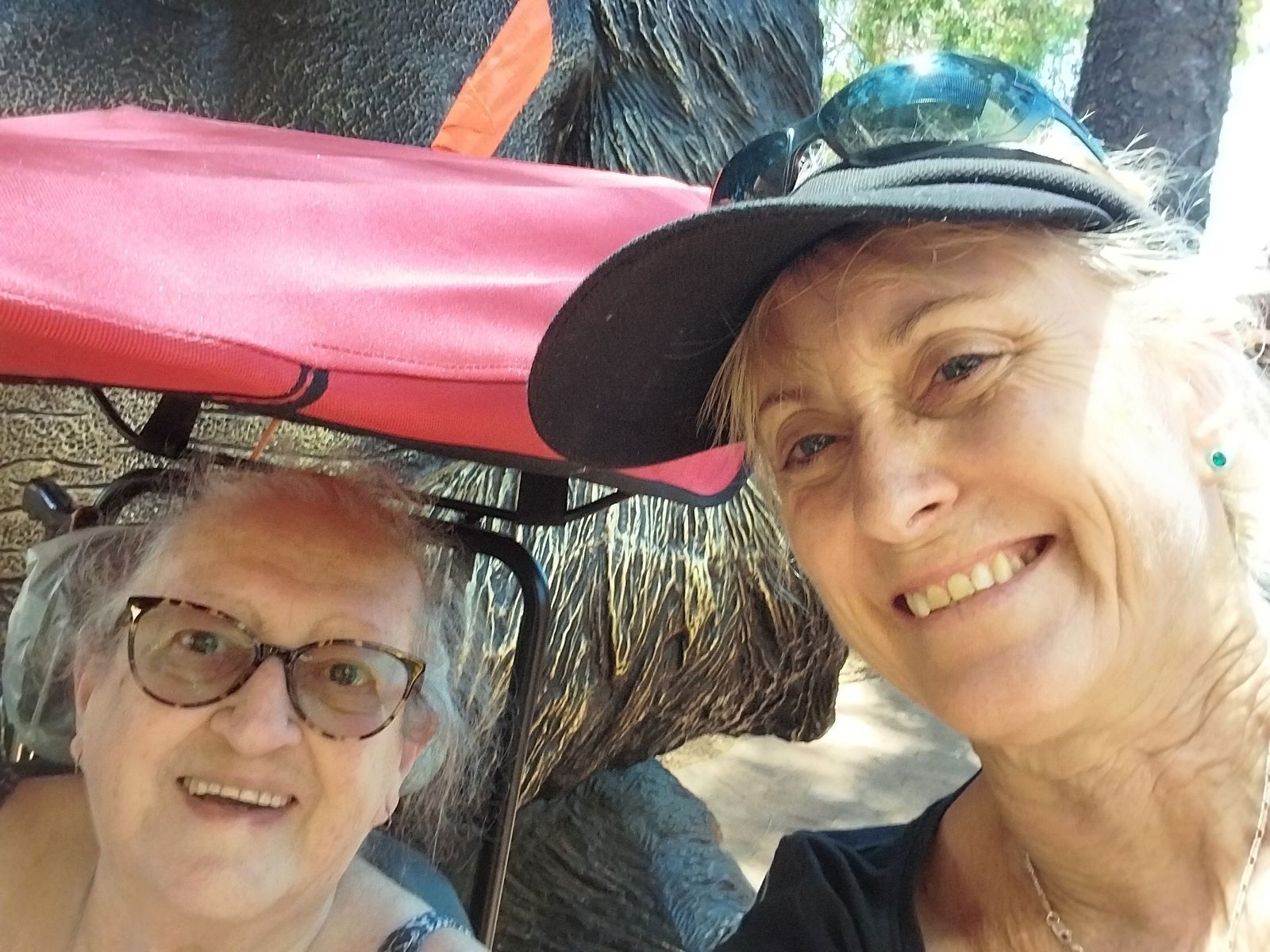 Home care client Susan visits Perth Zoo thanks to Life's Possibilities_with support worker Julie Frusher